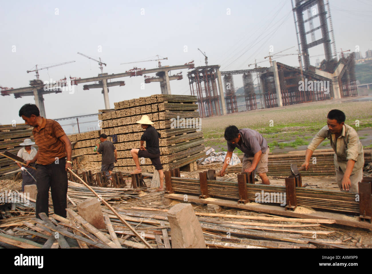 Bambus-Handel, Chongqing, China Stockfoto