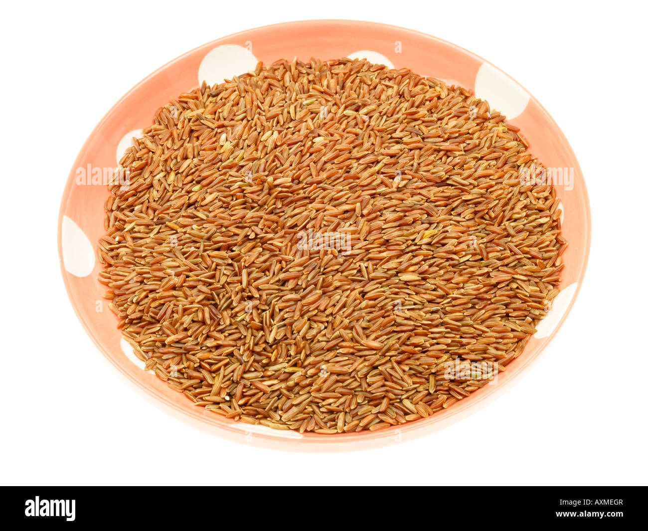 Roter Reis Stockfoto