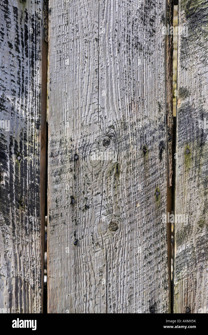 Holzplatten auf einer alten Tür Stockfoto