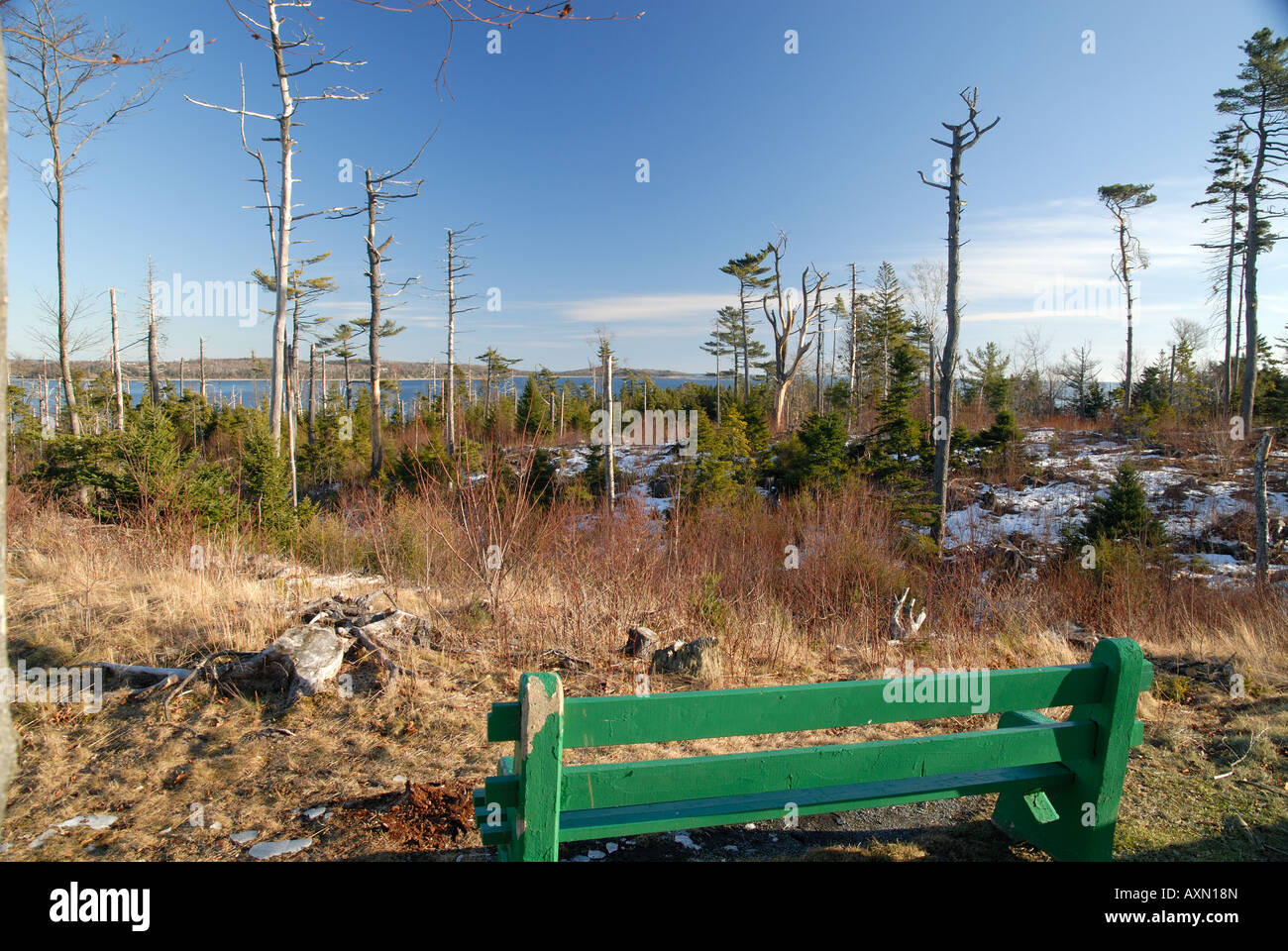 Point Pleasant Park, Halifax, Nova Scotia, im winter Stockfoto