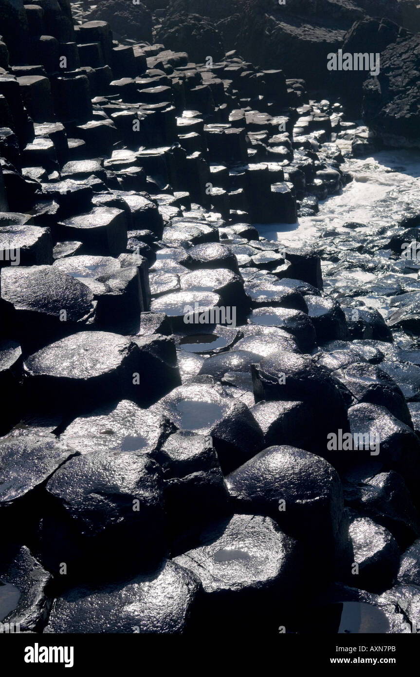 Der Giants Causeway in der Nähe von Bushmills, County Antrim, Irland. Sechseckige Basaltfelssäulen des Grand Causeway Stockfoto