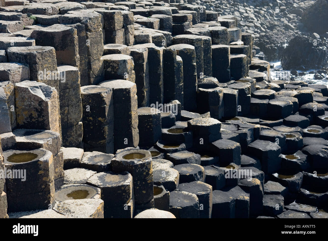 Der Giants Causeway in der Nähe von Bushmills, Nordirland. Vulkanische Basaltgesteinssäulen der Honeycomb-Formation Stockfoto