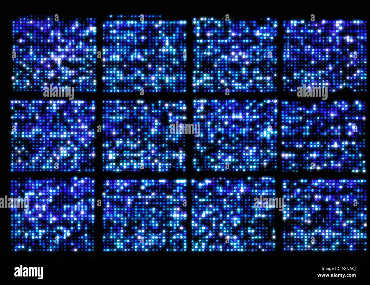 Array DNA-Mikrochip, Struktur des menschlichen Genoms Stockfoto Array DNA-Mikrochip, Struktur des menschlichen Genoms Stockfoto