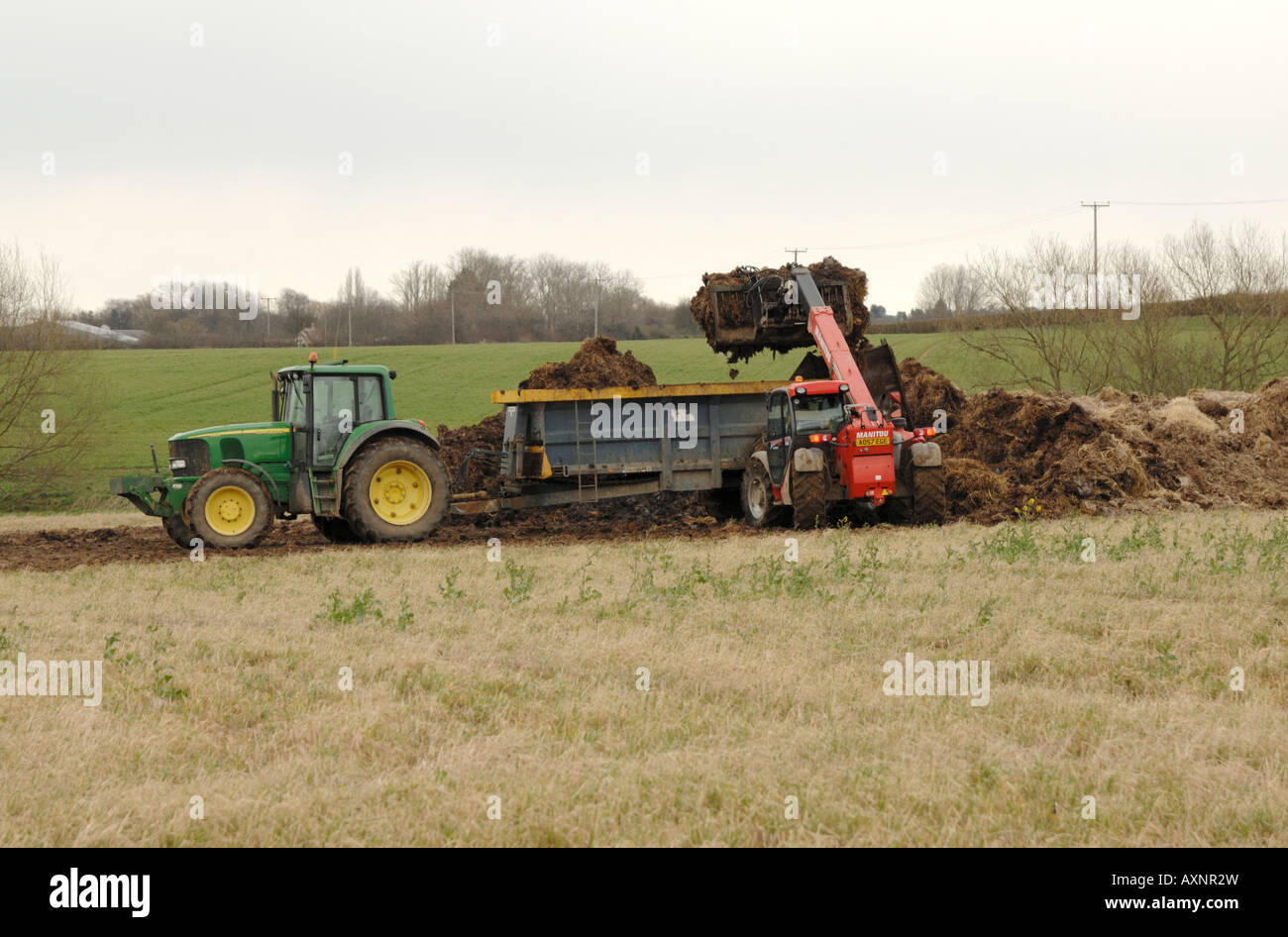 Dreck im zeitigen Frühjahr zu verbreiten. Chippenham, Cambs Stockfoto