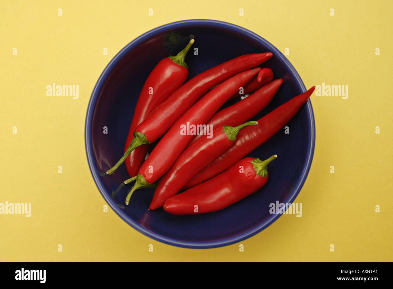 Rote Chilischoten Stockfoto