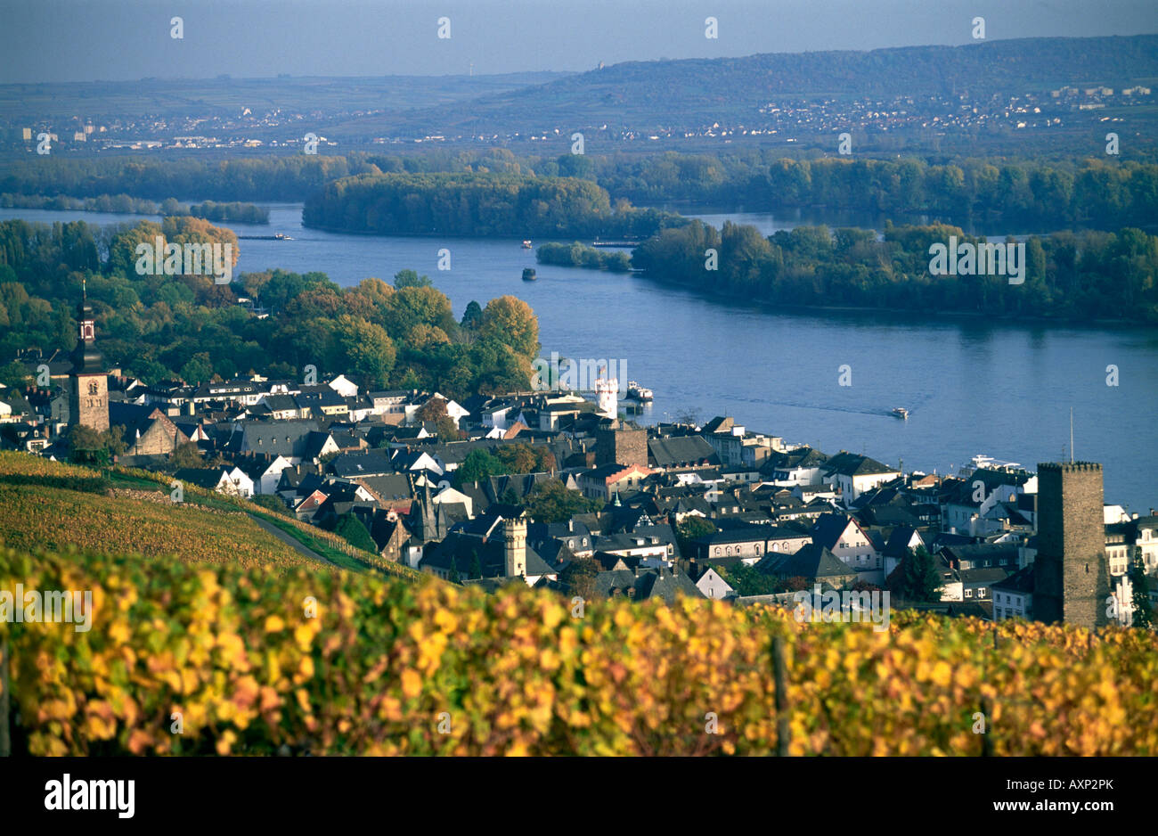 Rüdesheim, Rhein, Hessen, Deutschland Stockfoto