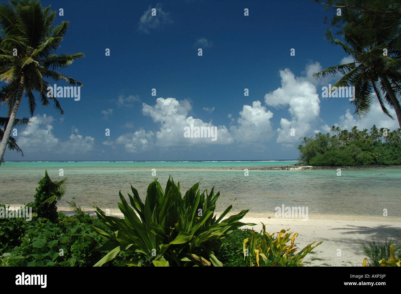 Die palm Fransen Strände und ruhige Lagune auf den Cook Inseln. Stockfoto