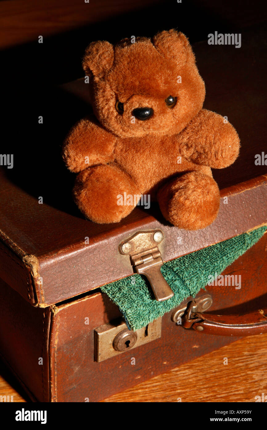 Ein Teddybär sitzend auf einem teilweise geschlossenen alten Koffer. Stockfoto