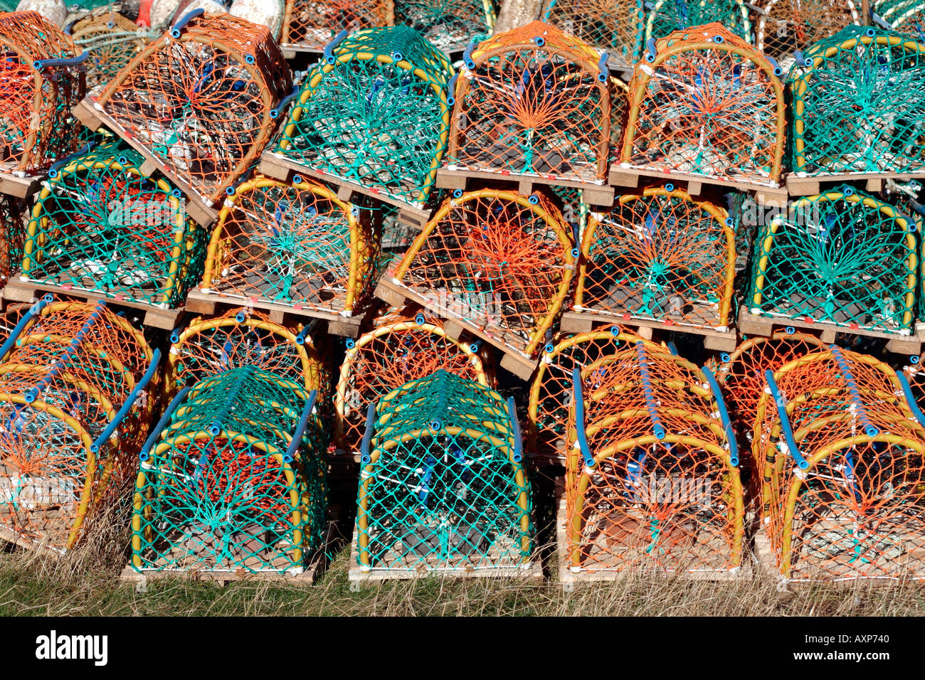 Krabben und Hummer Töpfe Stockfoto