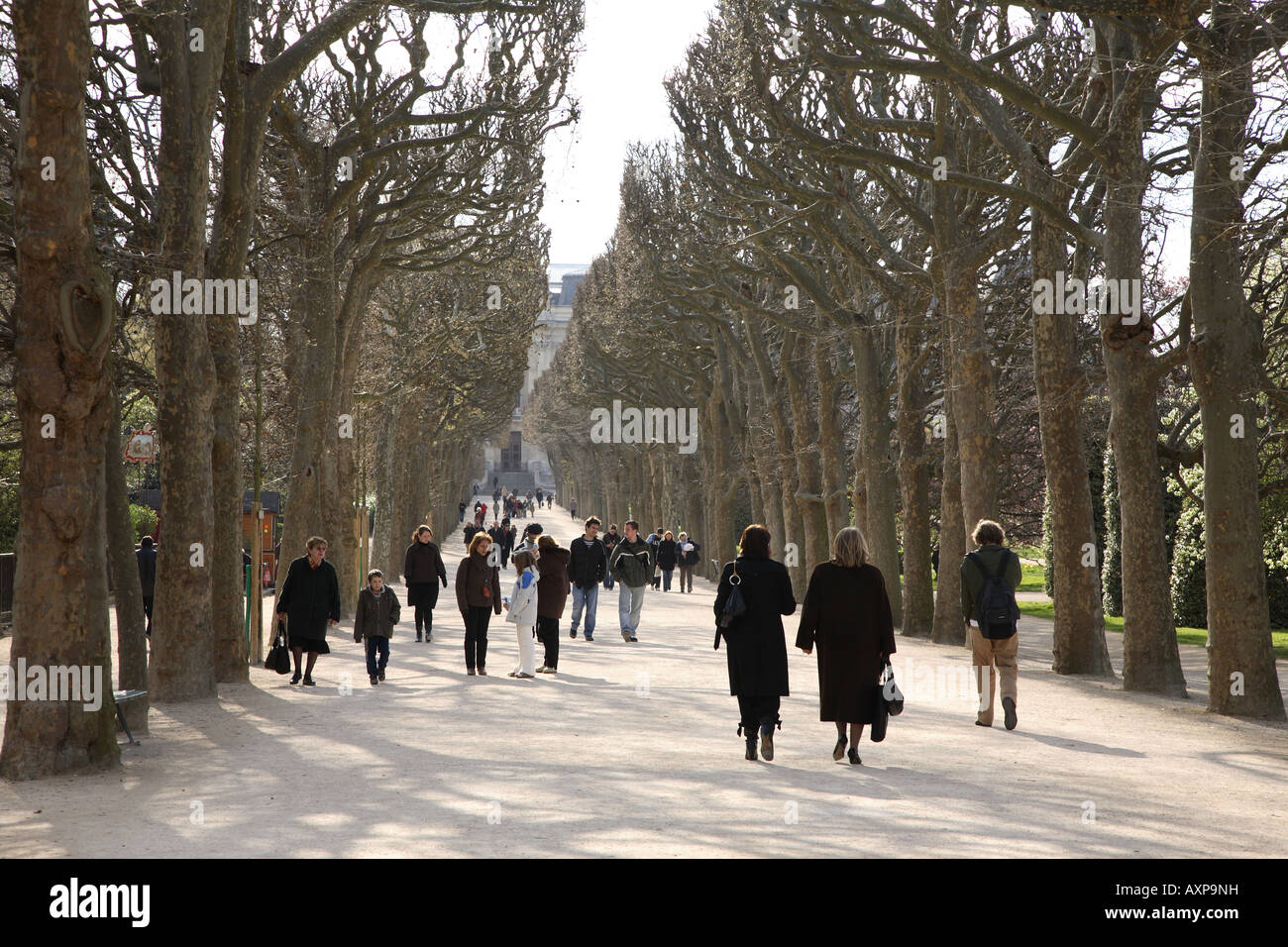 Jardin des Plantes Park, Paris, Frankreich Stockfoto