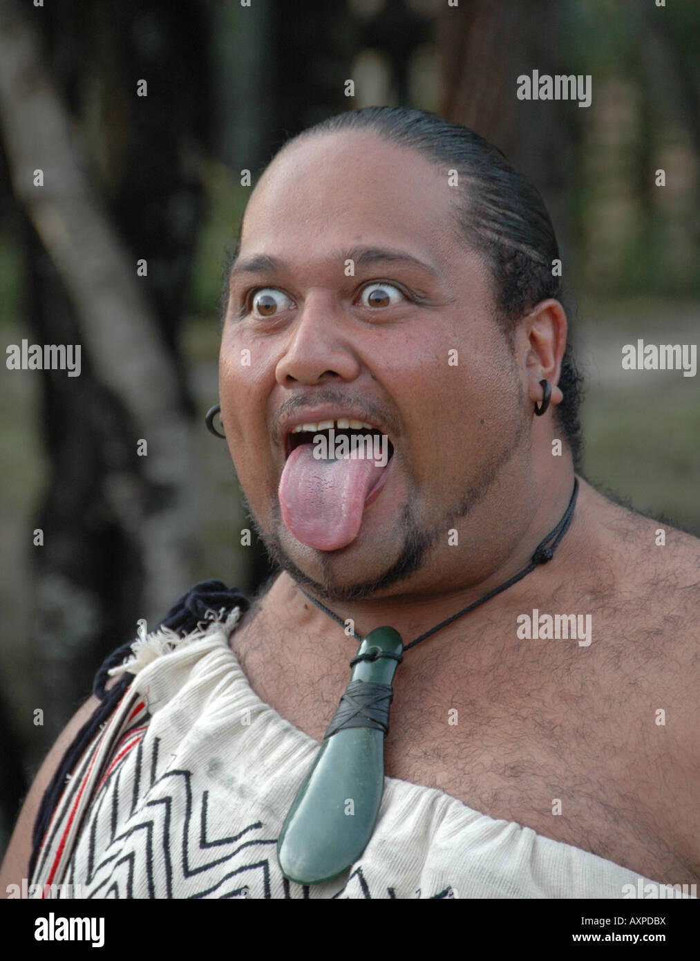 Maori Krieger traditionelle Herausforderung für Besucher Stockfoto