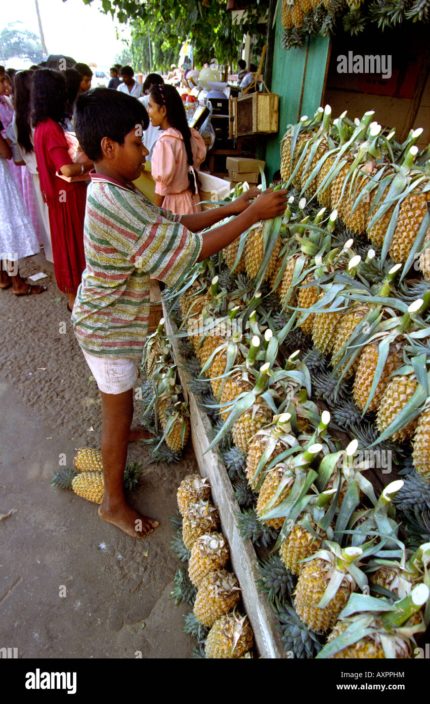 Sri Lanka-Galle Basar junge an Ananas-Stand Stockfoto