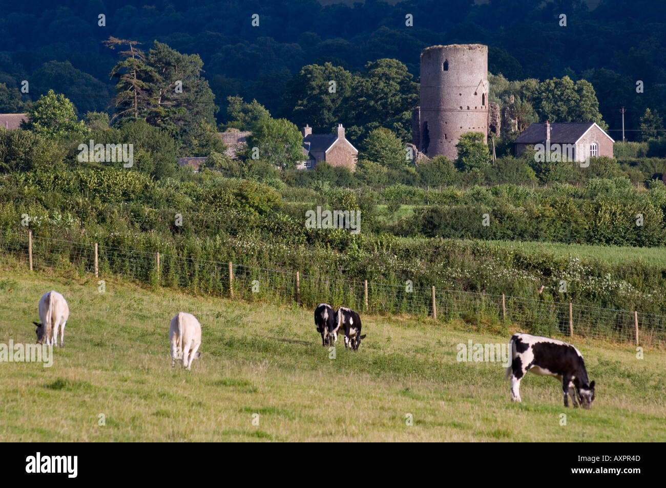 Europa-UK, Vereinigtes Königreich Wales Cymru Gwent tretower Stockfoto