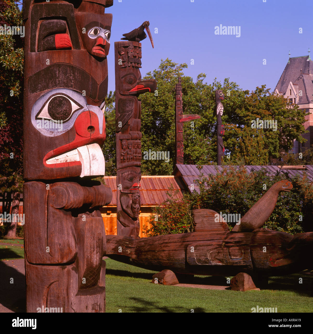 Haida und Gitxsan (Gitksan oder Tsimshian) Totempfähle in "Thunderbird Park", Victoria, Vancouver Island, British Columbia, Kanada Stockfoto