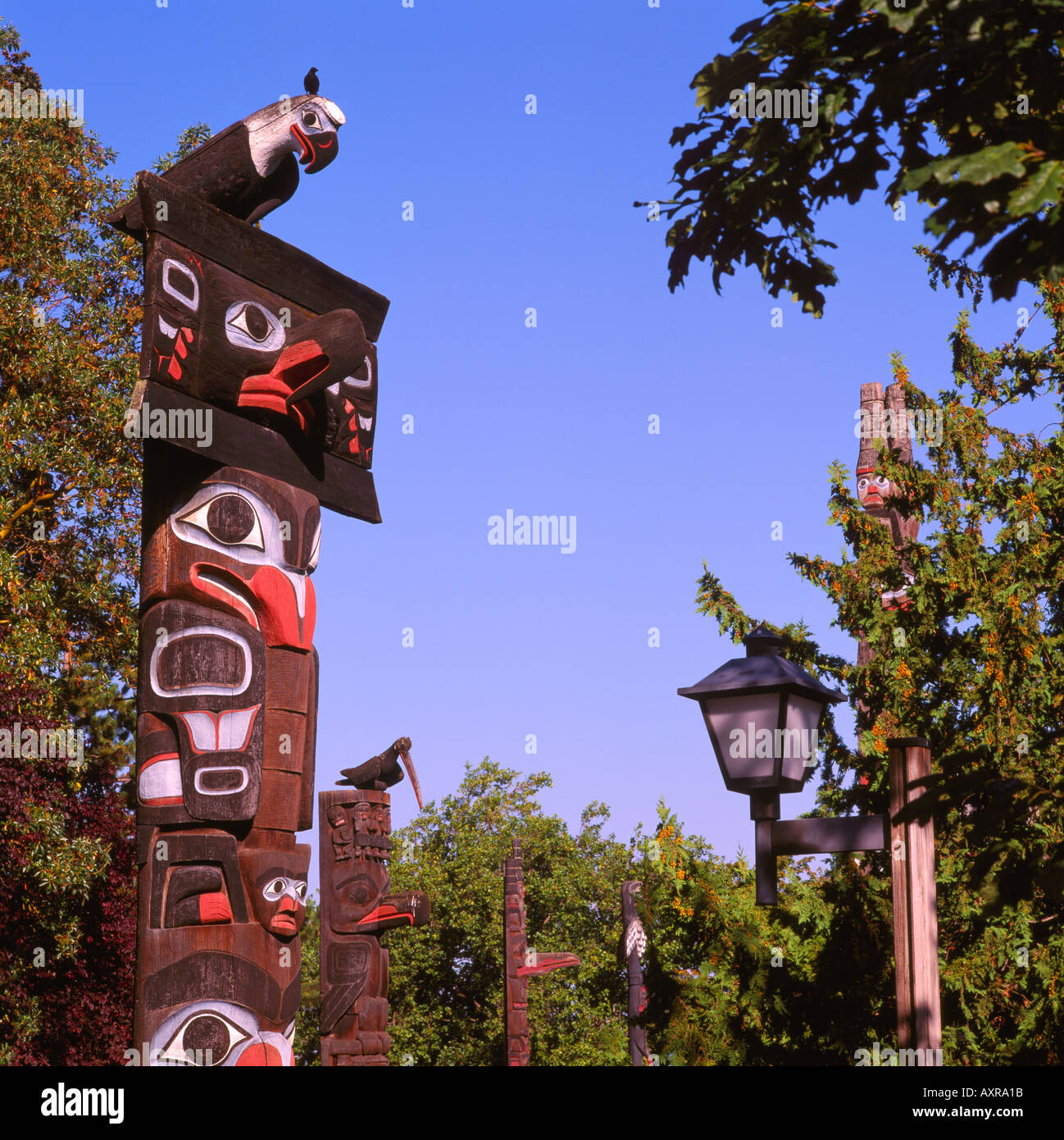 Haida und Gitxsan (Gitksan oder Tsimshian) Totempfähle in "Thunderbird Park" Victoria auf Vancouver Island in British Columbia Kanada Stockfoto