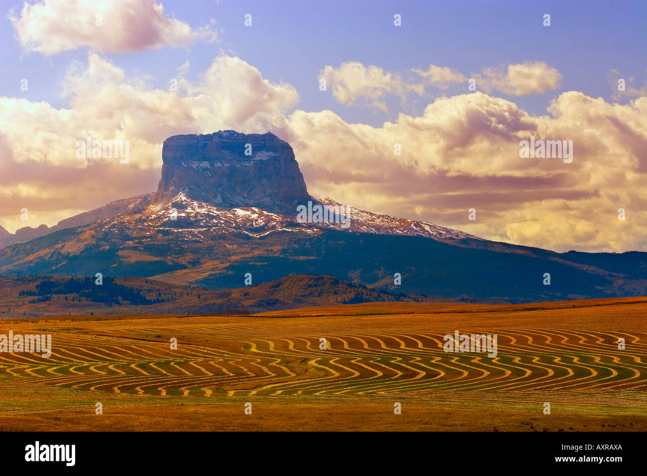 Berg und Farmer s-Feld Stockfoto