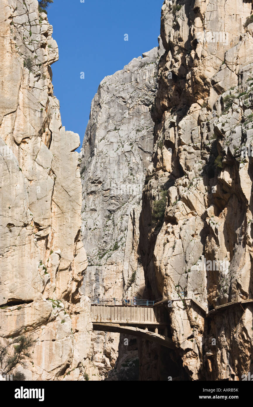 Bergsteiger auf Brücke über El Chorro Schlucht Provinz Malaga Spanien Stockfoto