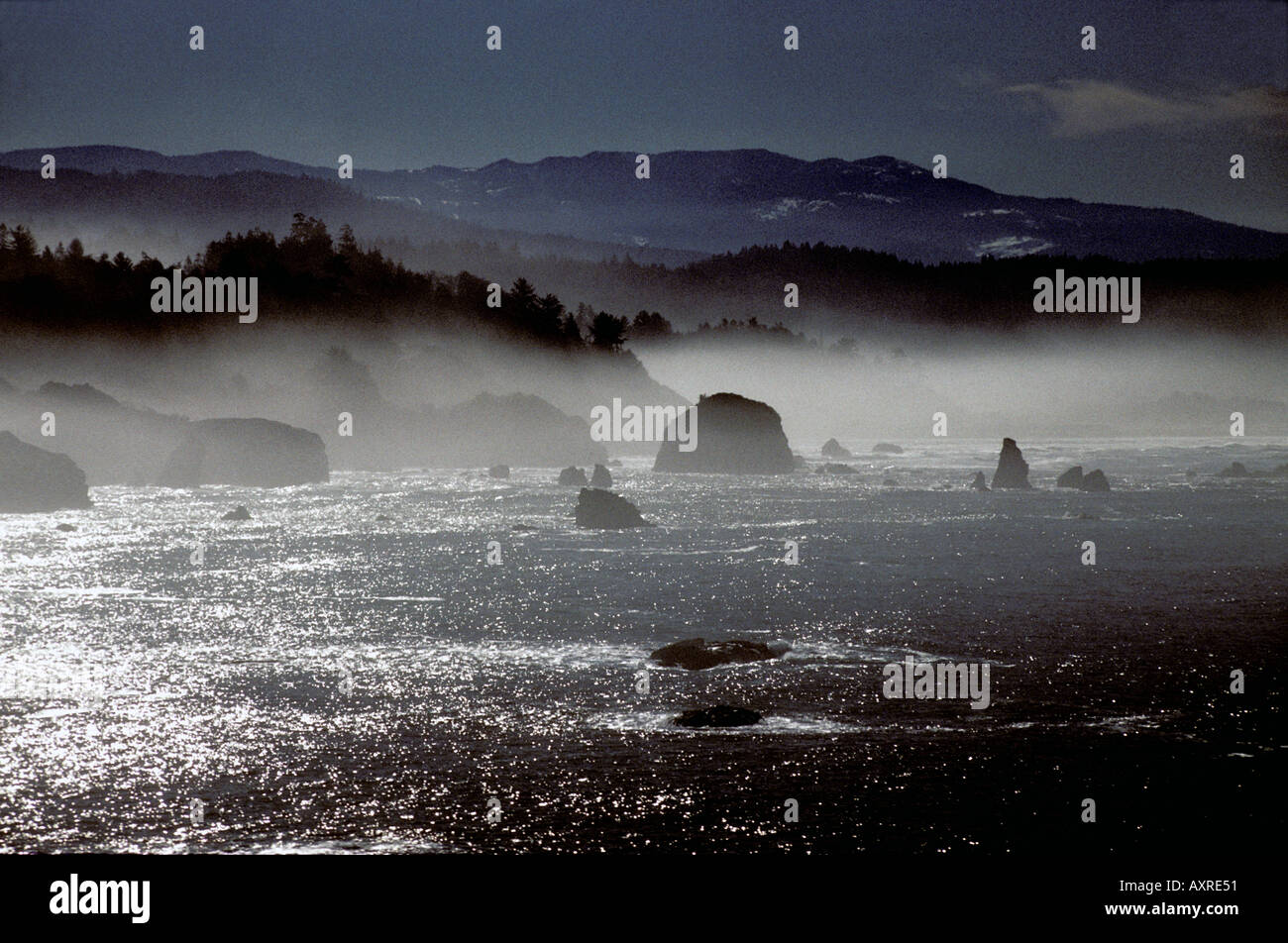 Felsige Küste Trinidad Humboldt County Kalifornien USA Stockfoto