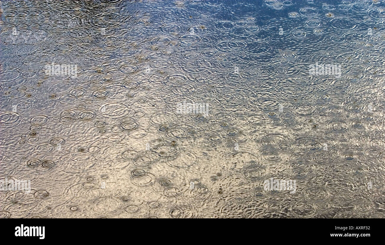 Regentropfen bilden Ringe an die dunklen ruhigen Wasseroberfläche Stockfoto