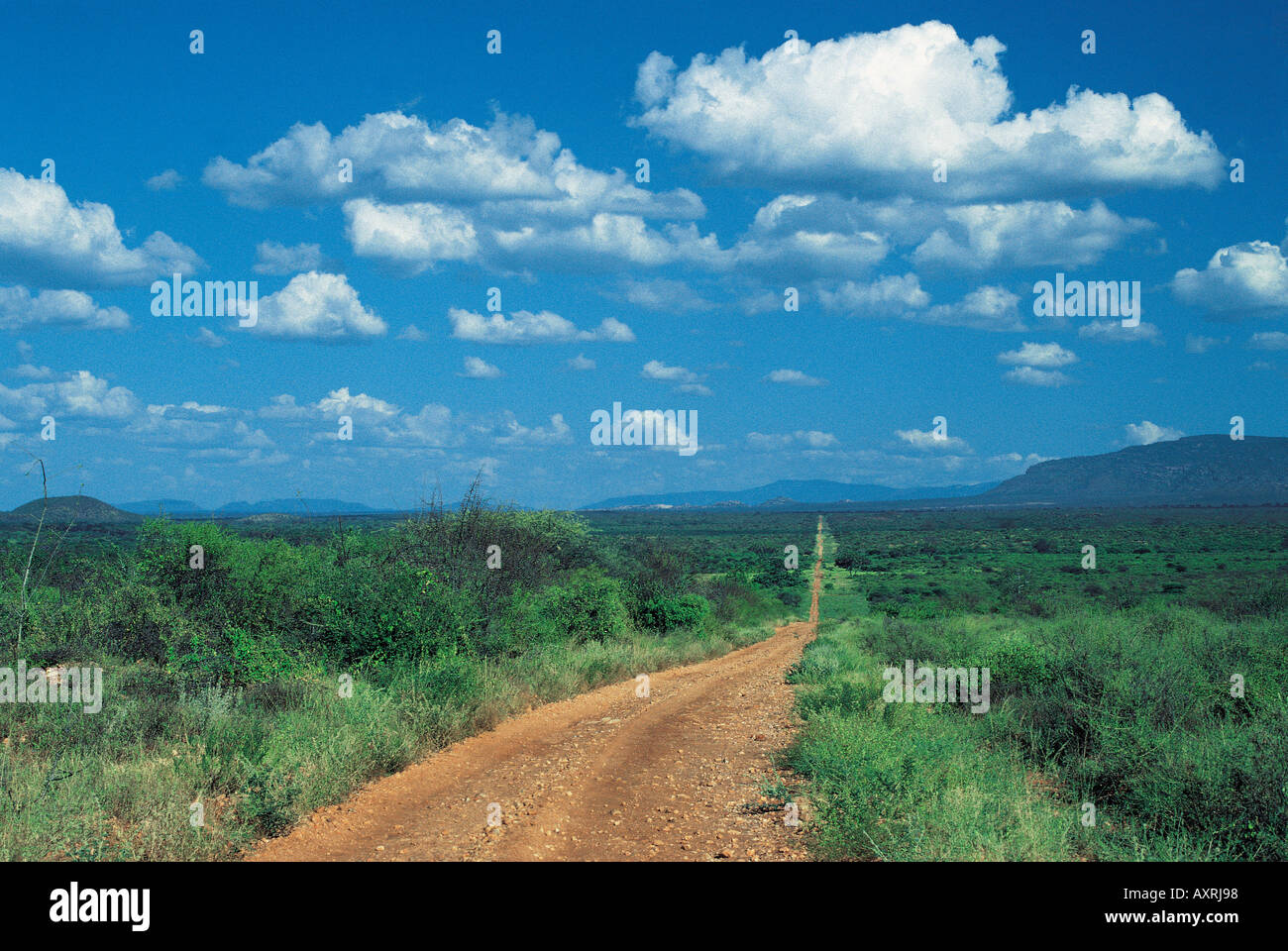 Blick nach Süden in Richtung Maktau Hügel entlang der Pipeline an die Ostgrenze des Tsavo West Nationalpark Kenia in Ostafrika Stockfoto