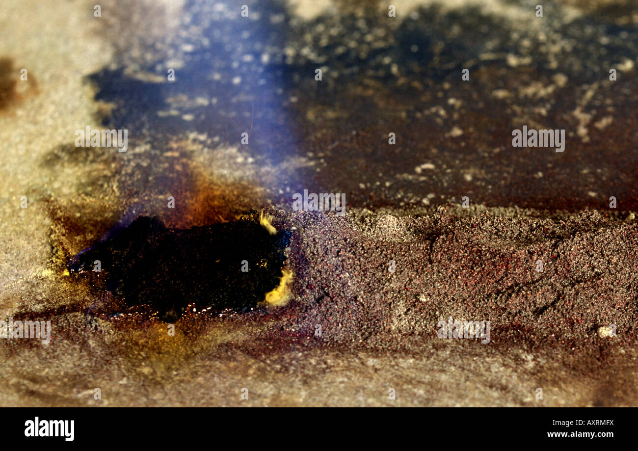 Exotherme Reaktion zwischen pulverisierte Kupfer und Schwefel bewegt sich von links nach rechts, so dass Schwarz Kupfer Sulfid Stockfoto
