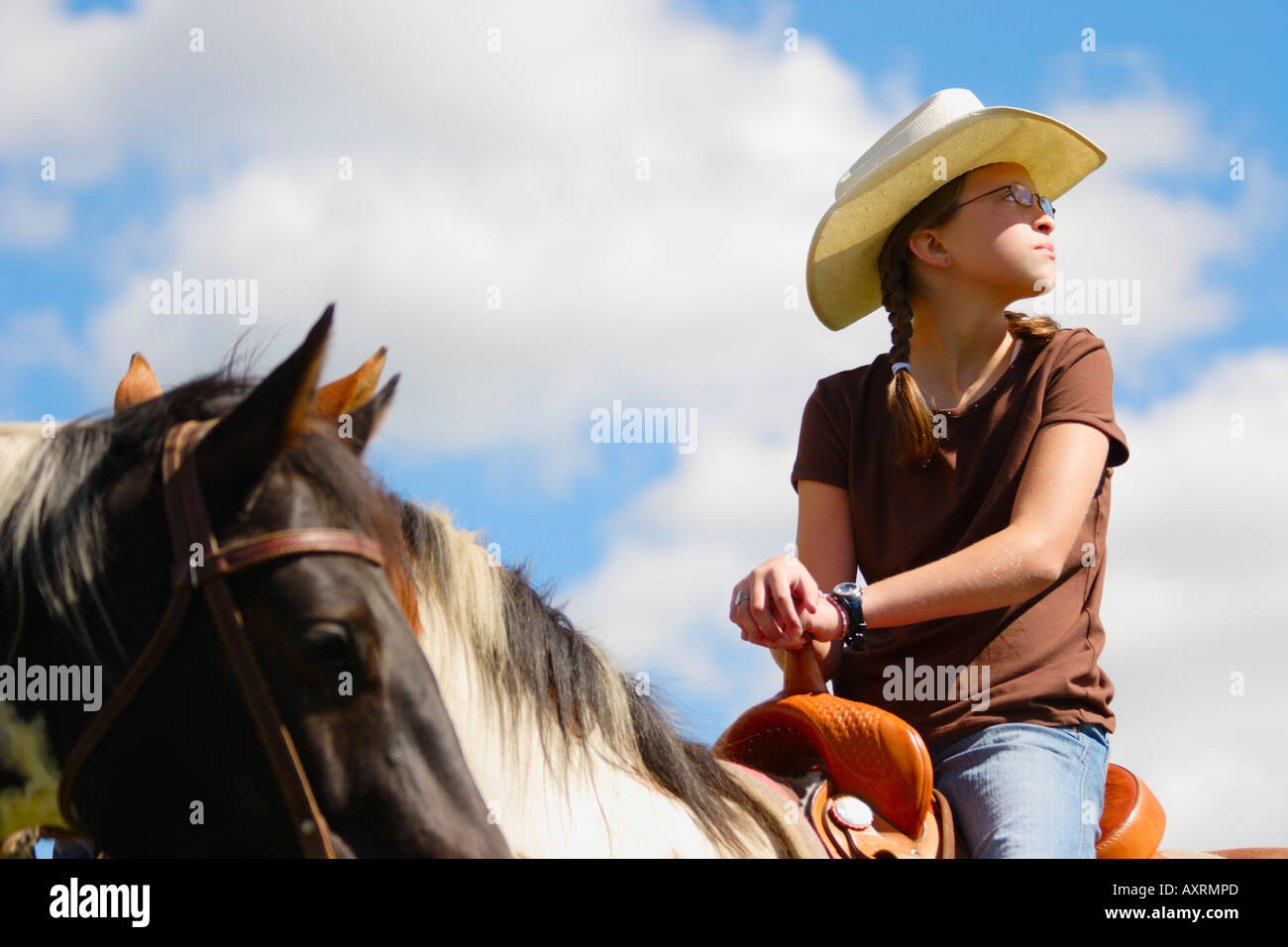 Junges Mädchen Reitpferd Stockfoto