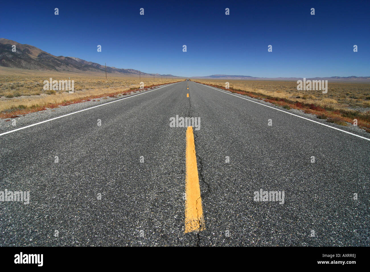 Einsame Strecke von Nevada 376 im Nye County Nevada Stockfoto