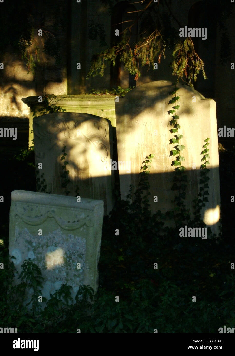 Friedhof Grab Thorney Abbey Stockfoto