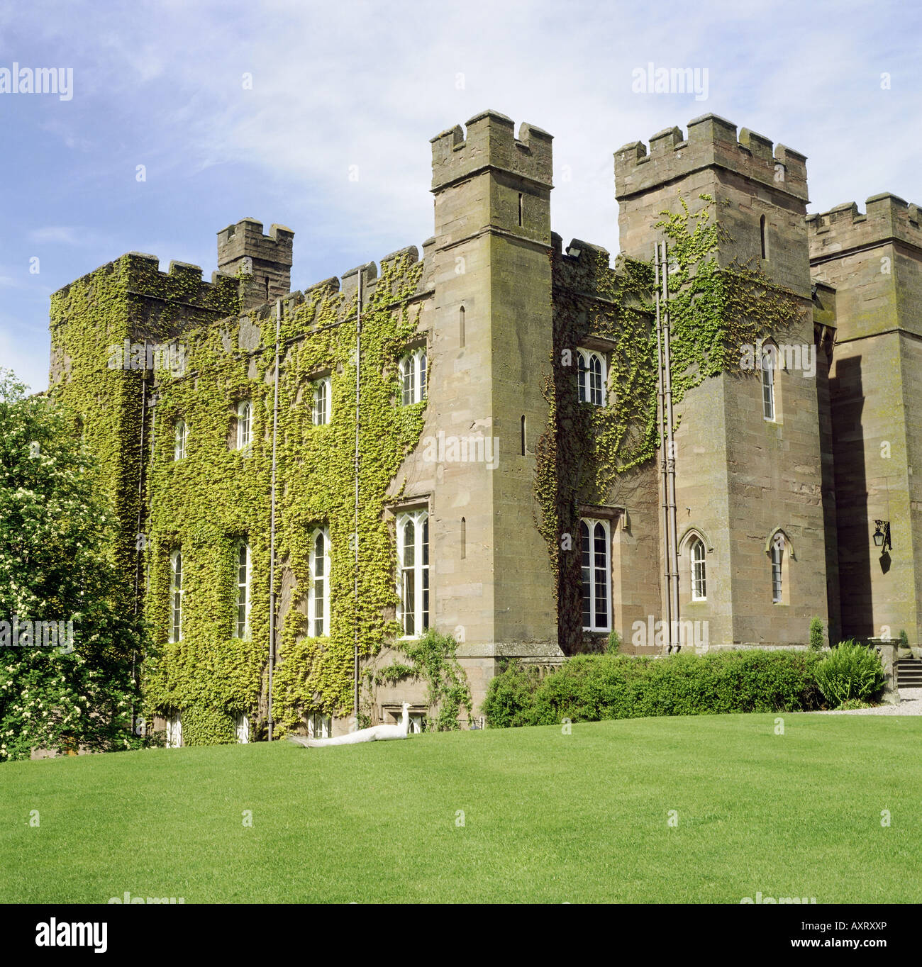 Geographie / Reisen, Großbritannien / Vereinigtes Königreich, Schottland, Burgen, Scone Palace, Außenansicht, Burg, Efeu, Stockfoto