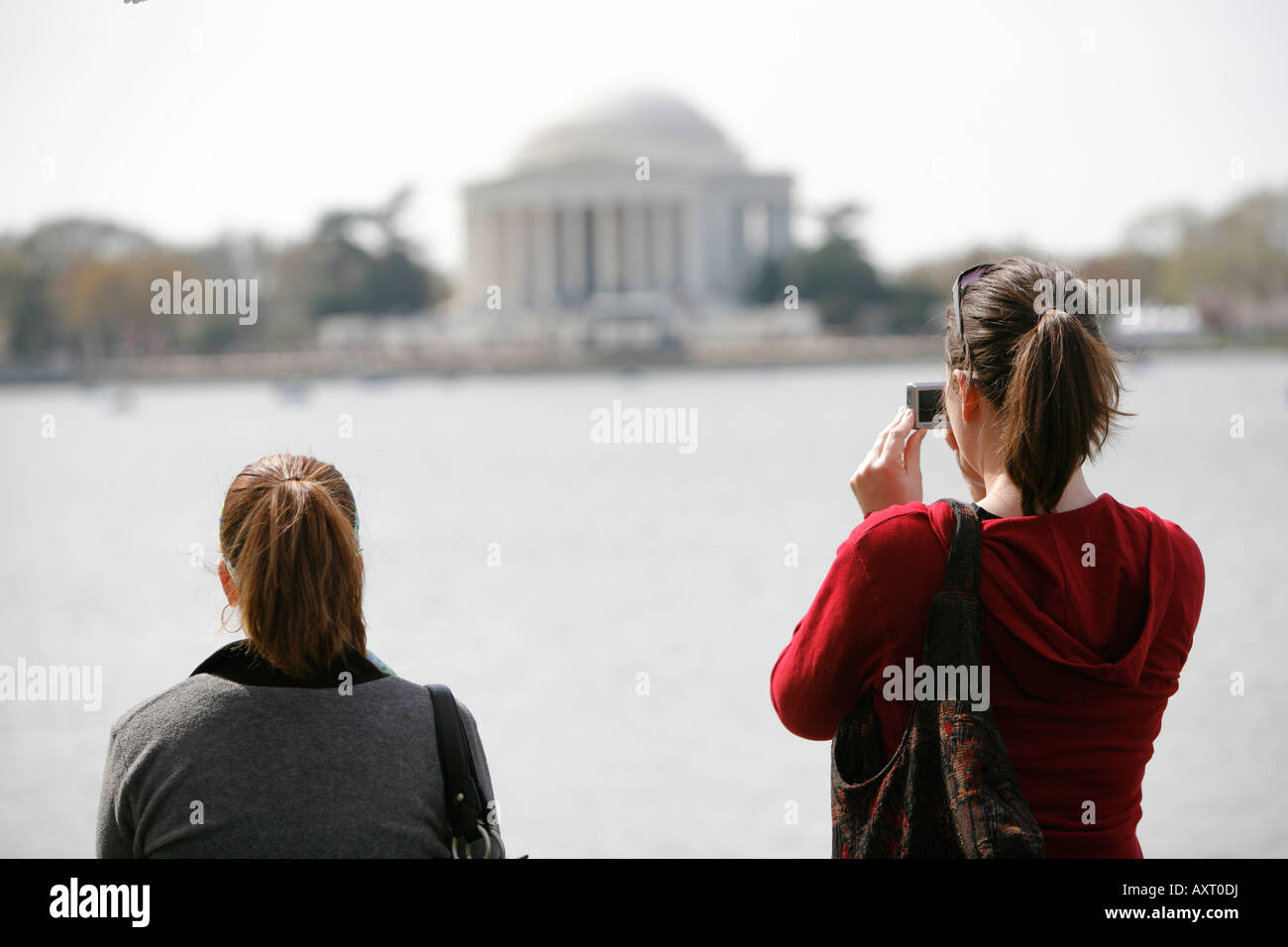 Zwei junge Frauen, die die Bilder von Jefferson Memorial, Kirschblüten, Washington DC, USA Stockfoto