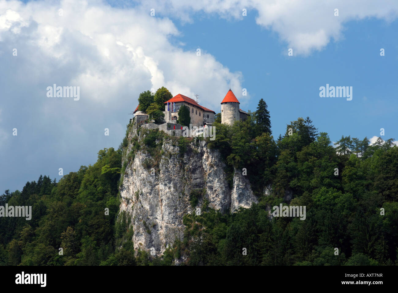 Bled Burg auf der Klippe, Slowenien, Europa. Stockfoto