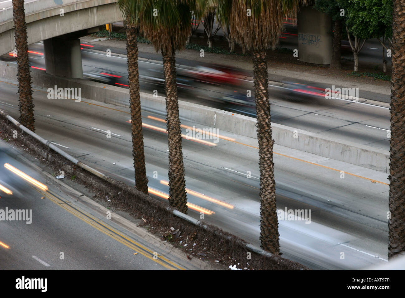 Los Angeles Verkehr zwischen Palmen Stockfoto