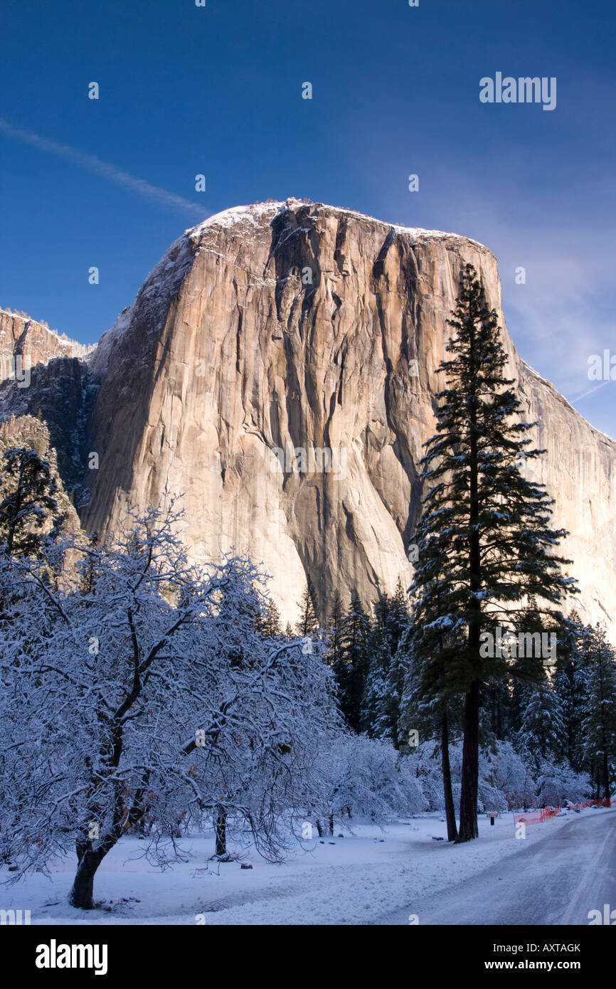 El Captain Yosemite im Schnee USA Stockfoto