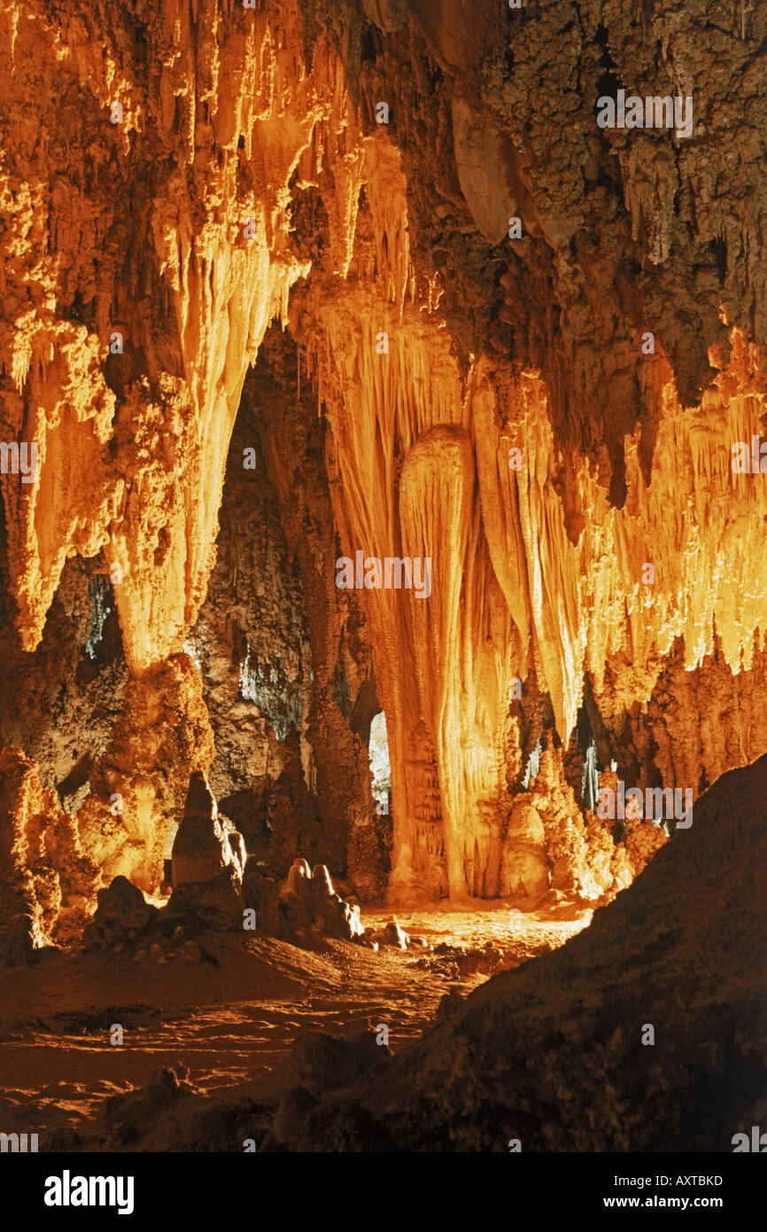 Unterirdische Steingärten im Carlsbad Caverns National Park in New Mexico Stockfoto
