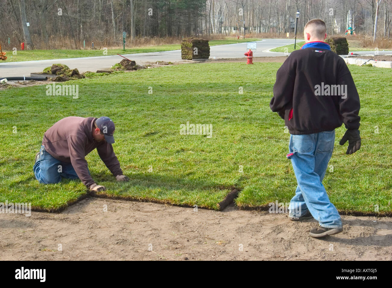Arbeiter legen neuen Rasen mit Sod im Wohnungsneubau nach Hause Stockfoto