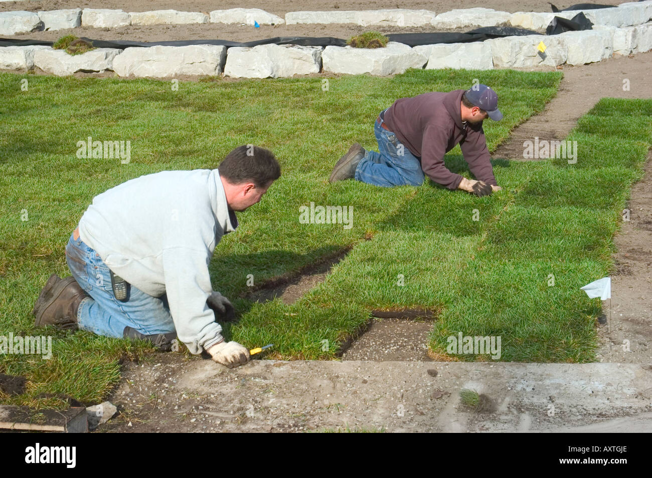 Arbeiter legen neuen Rasen mit Sod im Wohnungsneubau nach Hause Stockfoto