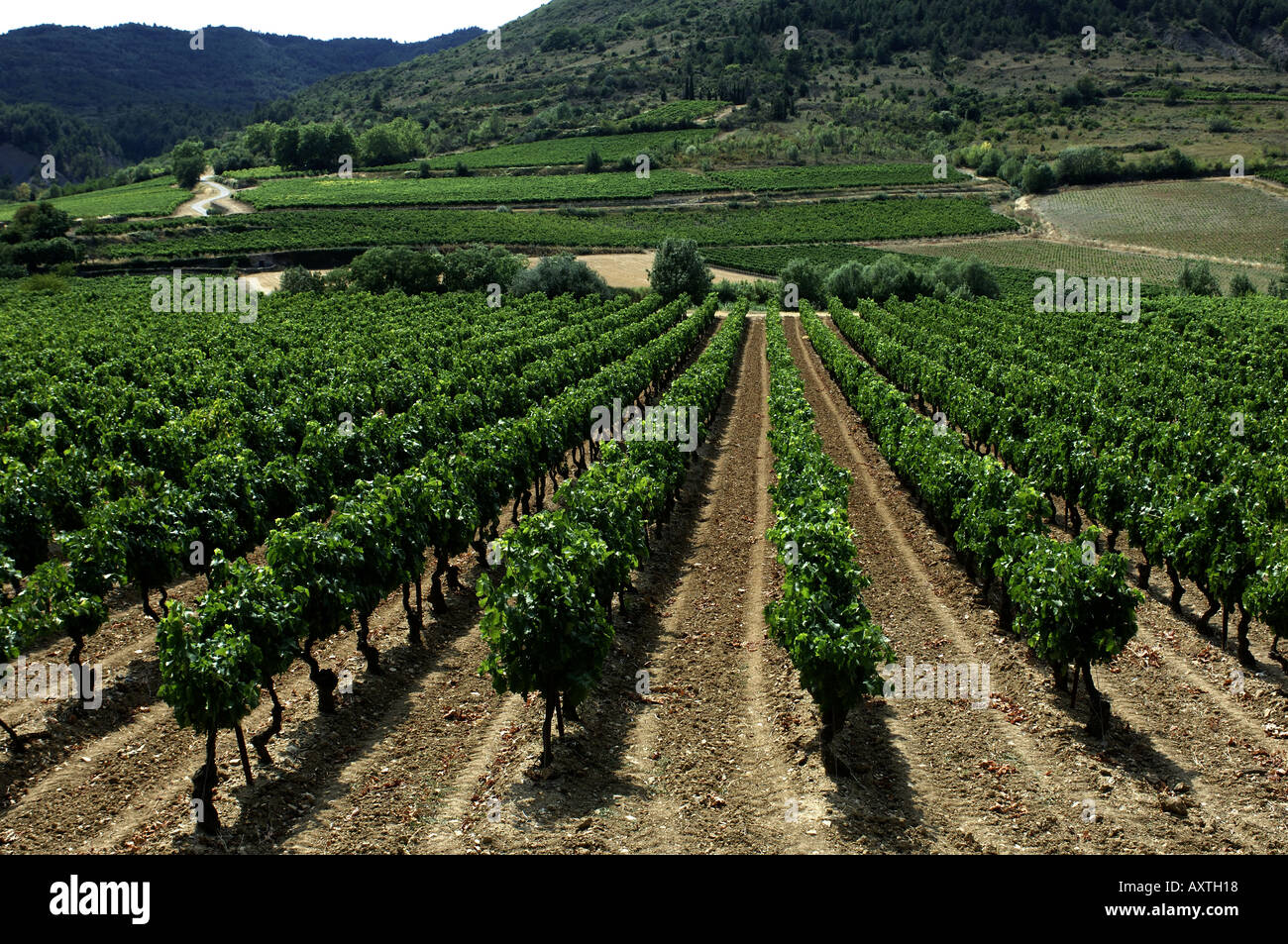 Das Weinbaugebiet Corbieres Departement Aude im Dorf Monze Stockfoto