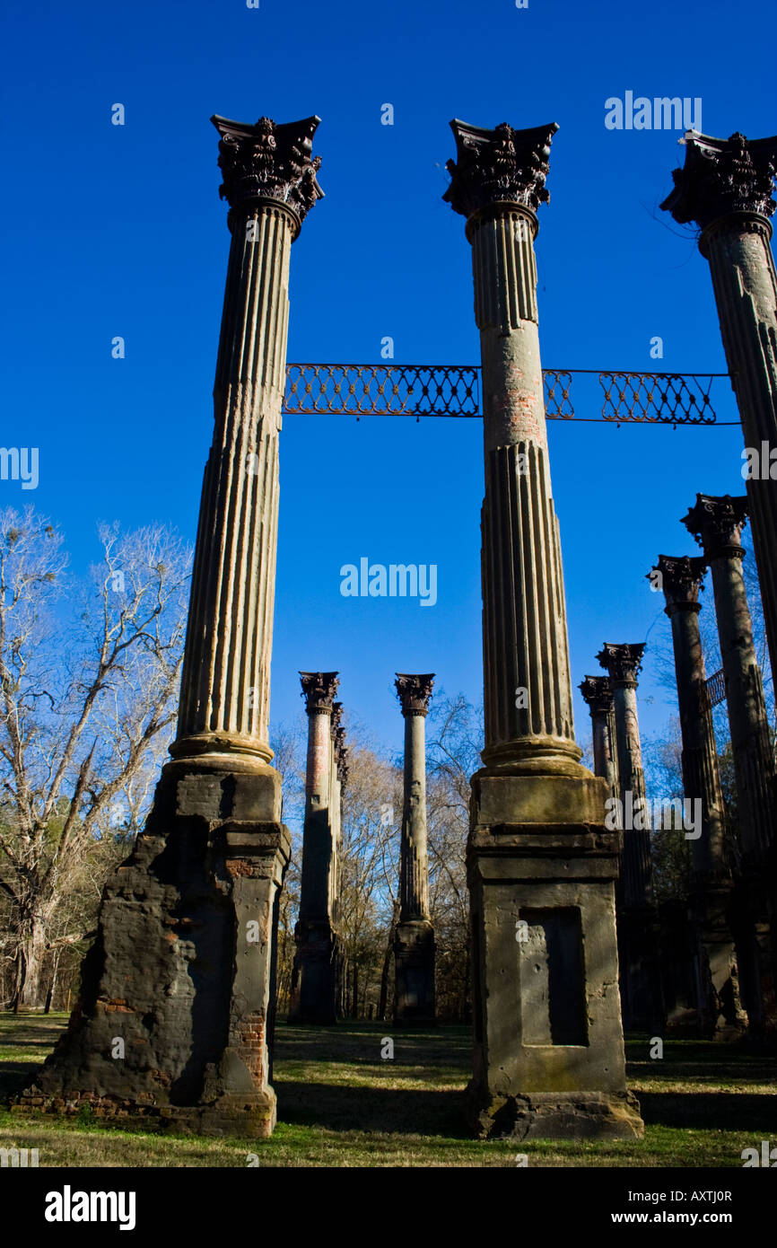 Windsor-Ruinen in Mississippi Stockfoto
