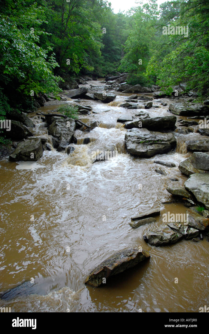 Wasserfälle auf dem New River auf der New River Gorge National Park West Virginia WV Stockfoto