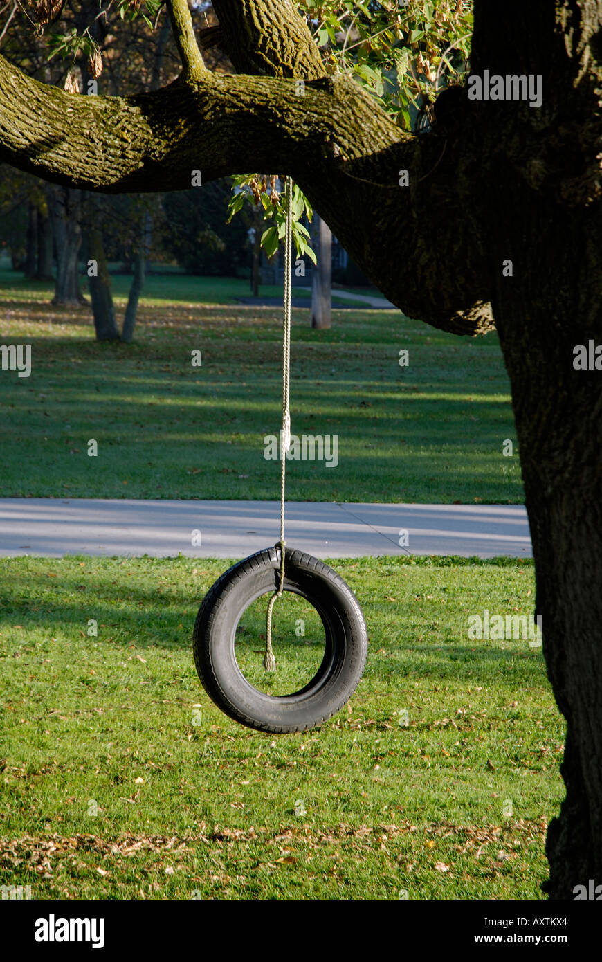 Alte Autoreifen hängt an einem Baum an einem Seil Stockfoto