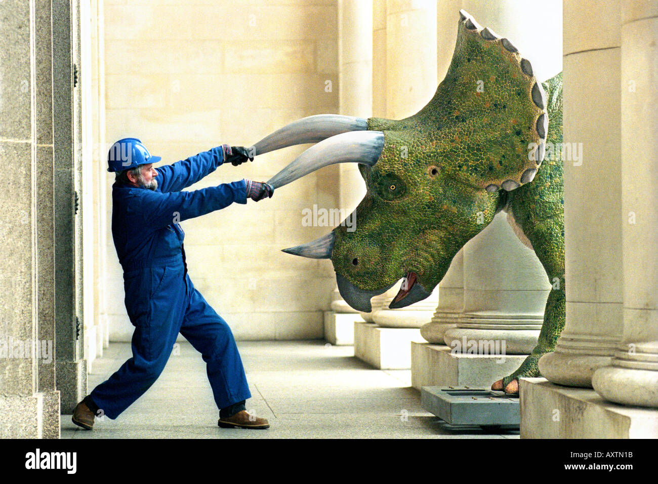 Leben Größe Roboter Triceratops Dinosaurier zugestellt, nationales Museum von Wales Cardiff UK Stockfoto