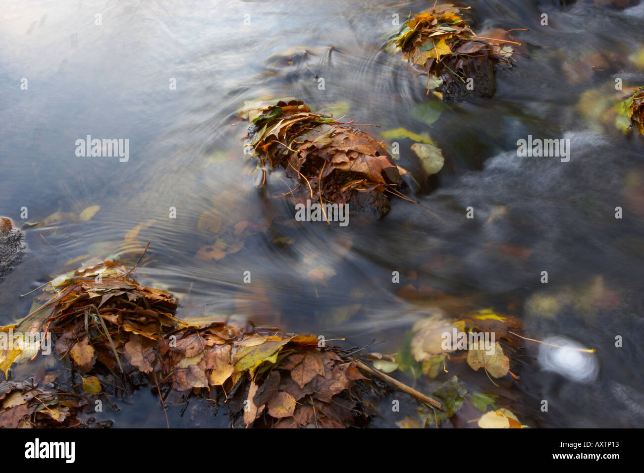 Wasserfall Stockfoto