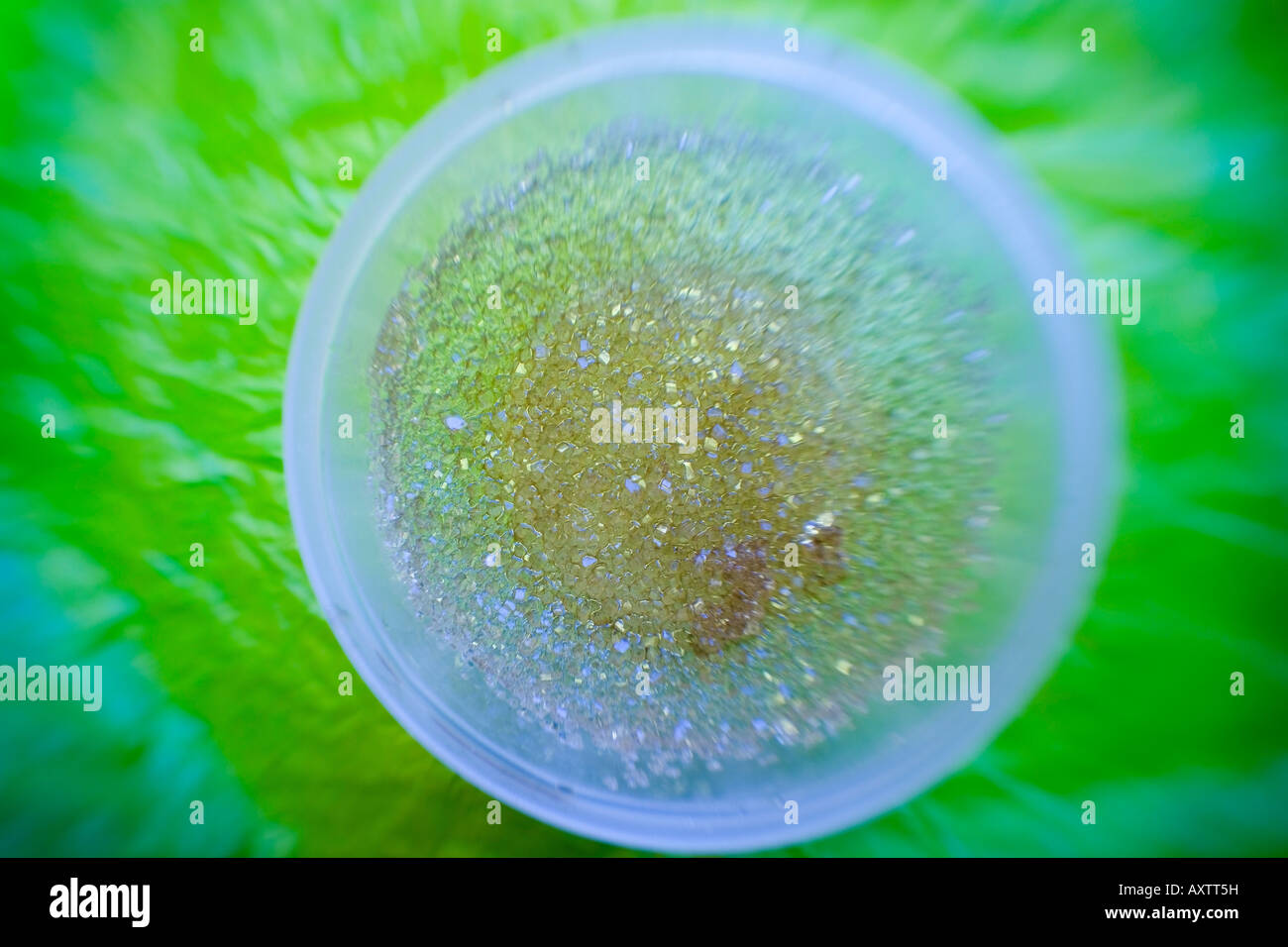 Abstrakte Muster der Zuckerkristalle in eine Plastikschüssel Alaska USA Stockfoto
