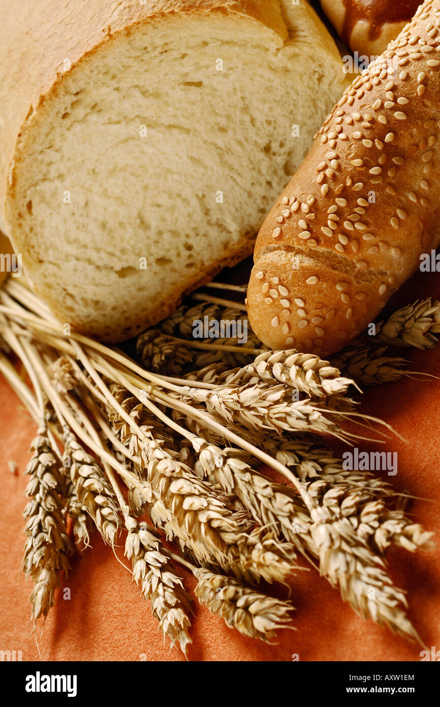 Brot-Zusammensetzung Stockfoto