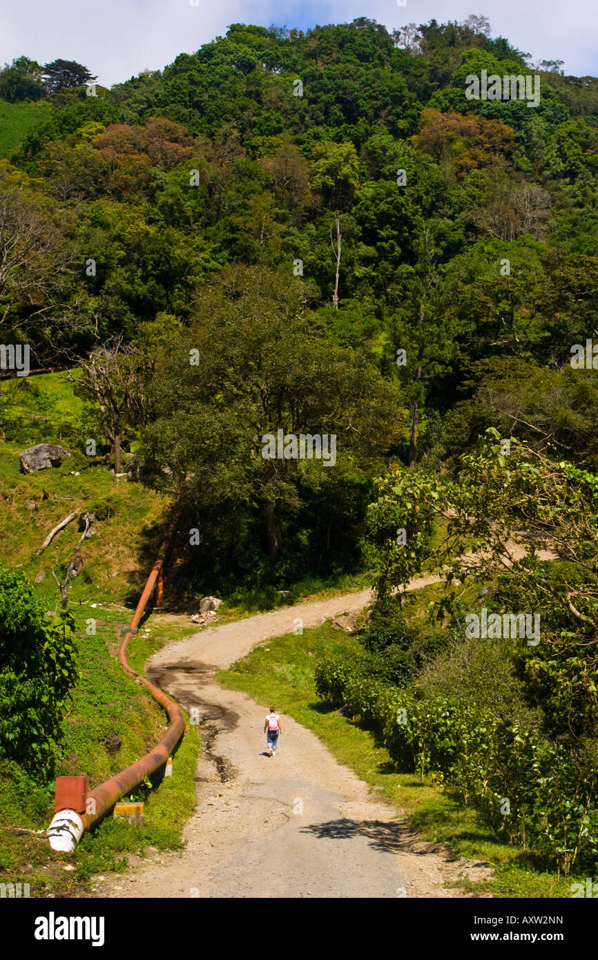 Pfad durch den Nationalpark Vulkan Baru in der Nähe von Boquete Panama Stockfoto