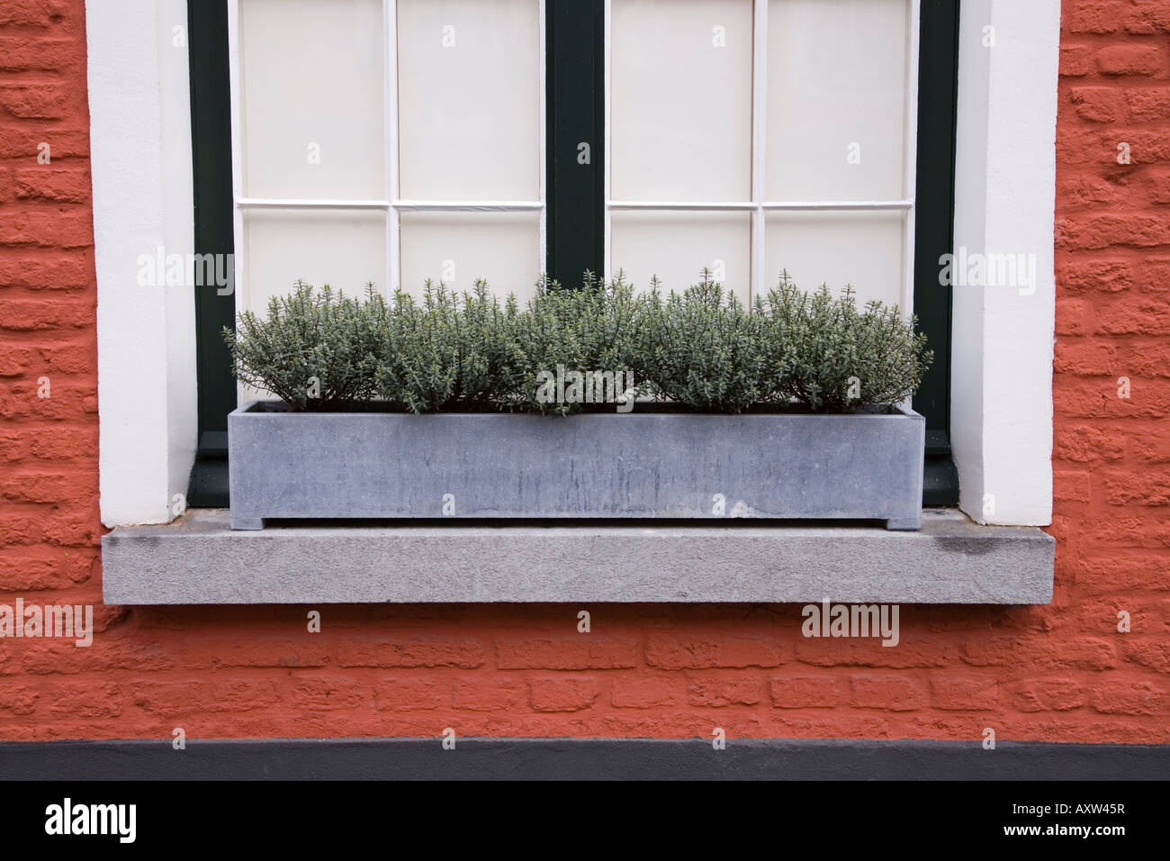 Fenster mit Window-Box eines Hauses an der Muttergottes Ter Hooyen Beginenhof, auch bekannt als Deltacup Ter Hoyen Beginenhof. Gent. Belgien Stockfoto