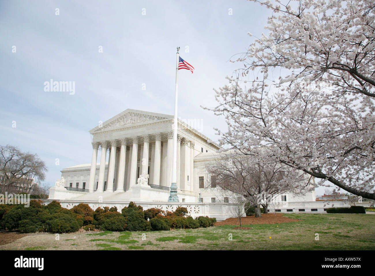 US Supreme Court Gebäude, Kirschblüten, Washington DC, USA Stockfoto