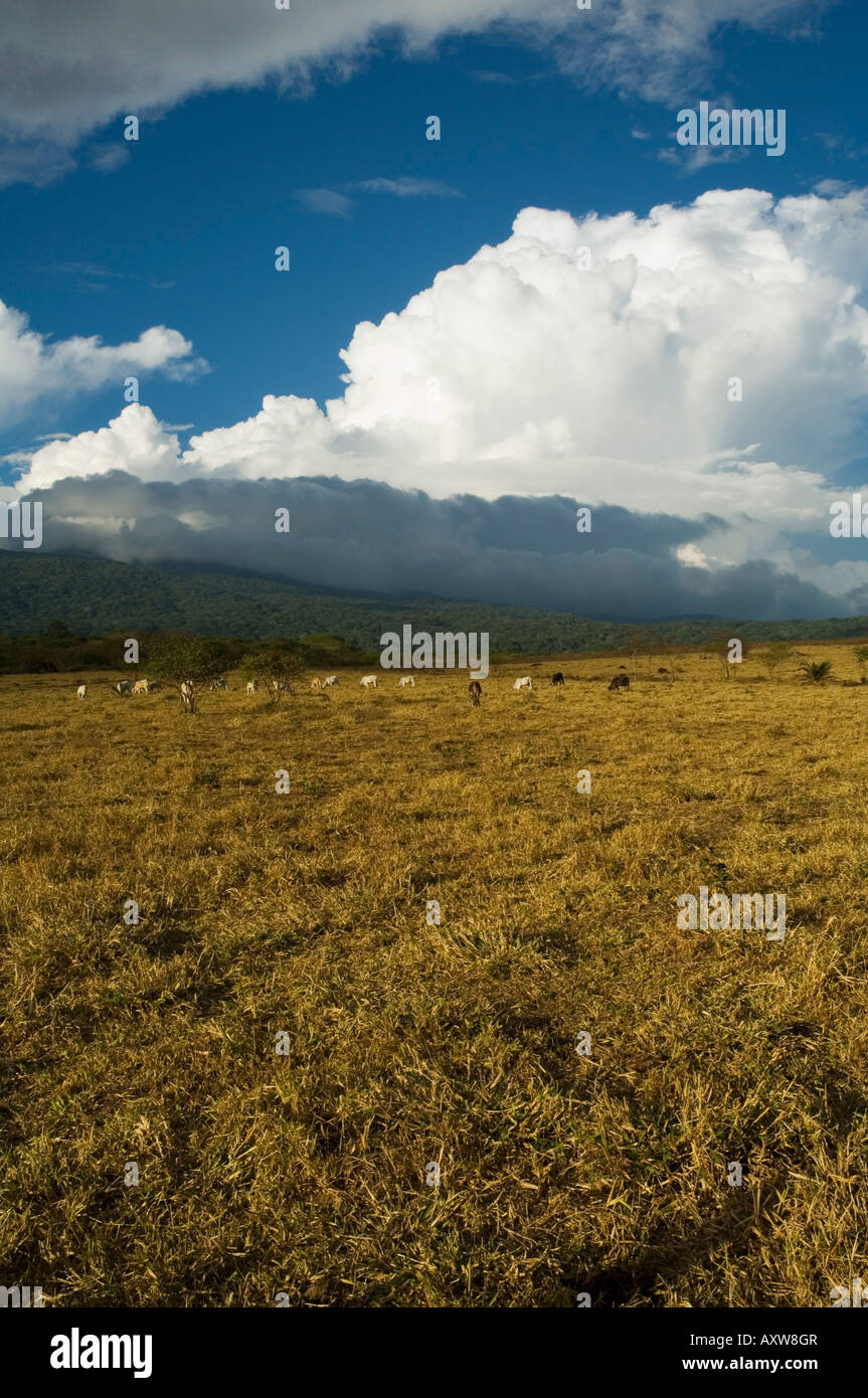 Wolken über dem Vulkan Rincon, in der Nähe von Rincon De La Vieja Nationalpark, Gaunacaste, Costa Rica Stockfoto