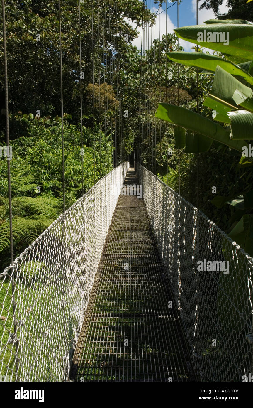 Hängende Brücken einen Spaziergang durch den Regenwald, Arenal, Costa Rica Stockfoto