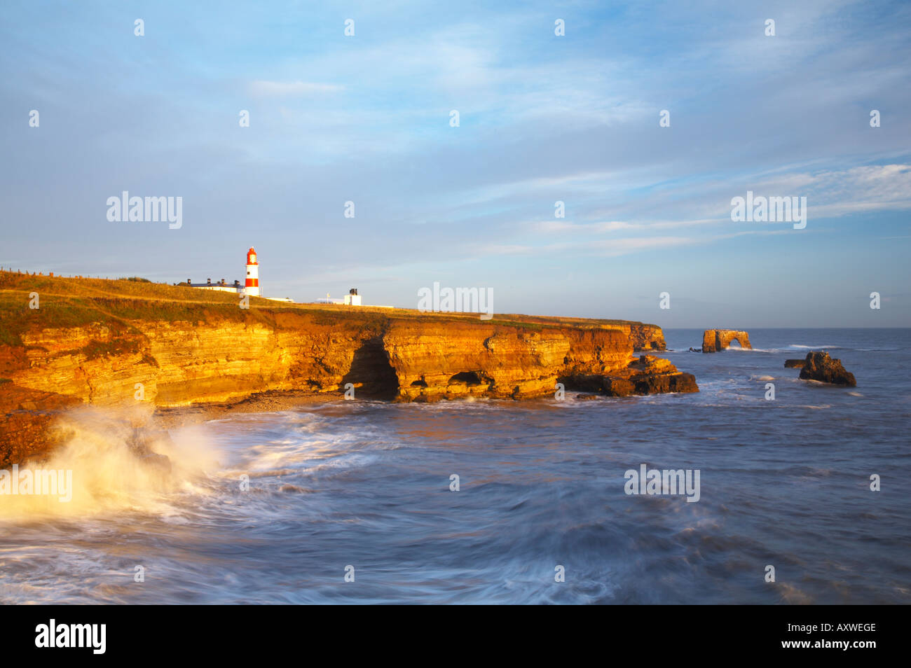 England, Tyne and Wear, Marsden Bay. Am frühen Morgen leuchtet die Wellen der Nordsee, in der Nähe von Lizard Point. Stockfoto